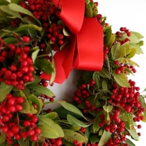 ����������������� ��������