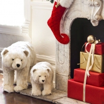 ����������������� ���