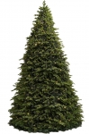     Warm Led "Borovets" 7m 