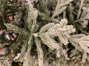  Χριστουγεννιάτικο δέντρο Snow Plastic Norwich 1.50m 