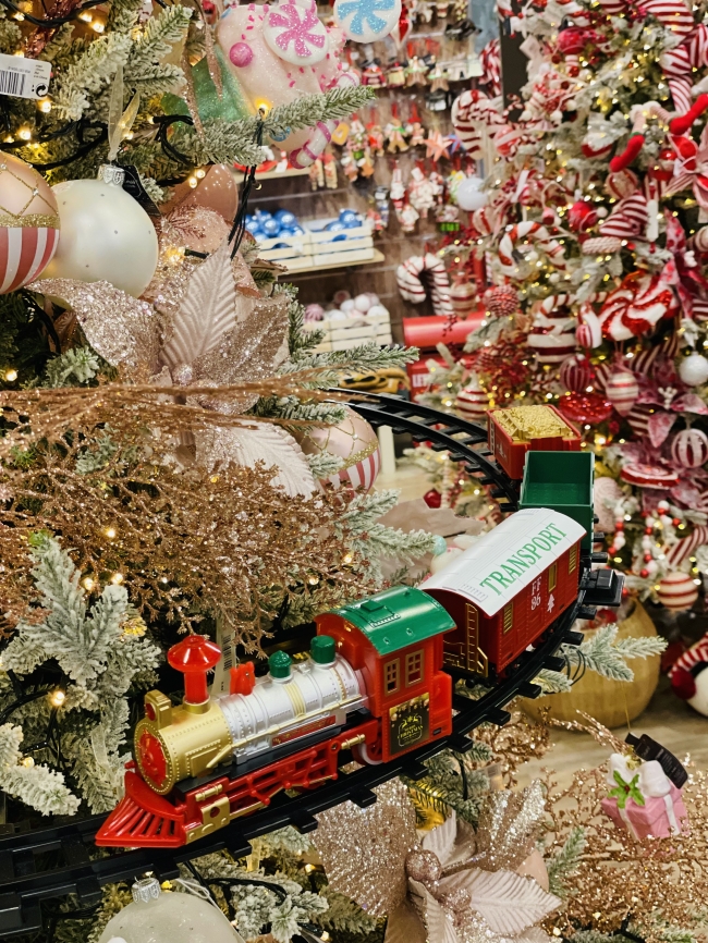     Led   93    Epilegin. 